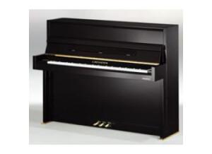 Bechstein Millenium