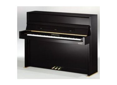 Bechstein Millenium