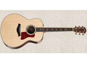 Taylor 818e