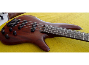 Ibanez SDGR500