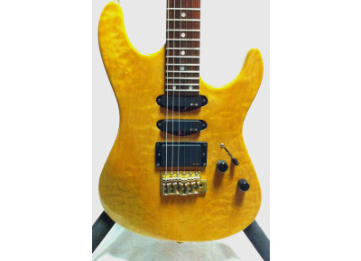 Valley Arts Guitars VALLEY ART