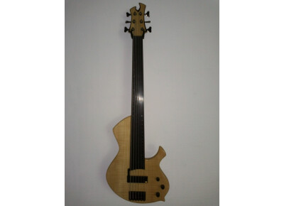 vergnaud JM6 Fretless
