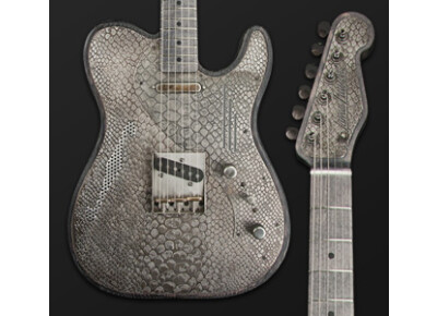 James Trussart Deluxe SteelTopCaster