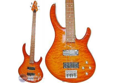 Peavey Dyna Bass FT