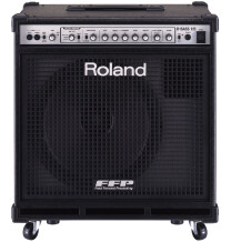 Roland D-Bass 115