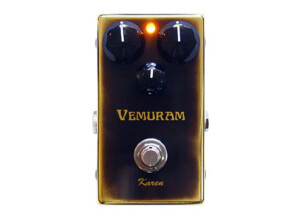 Vemuram Karen