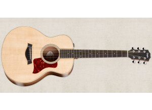 Taylor GS Mini-e RW