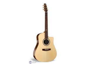 Seagull Artist Studio CW QII