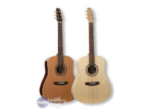 Seagull S6 20e Anniversaire