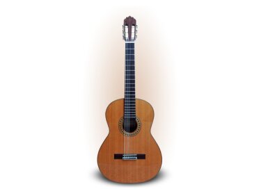 Joan Cashimira Mod 56