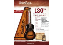 Washburn WP130S