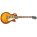 Gibson Les Paul Traditional Pro II