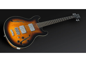 Warwick Pro Star Bass 4