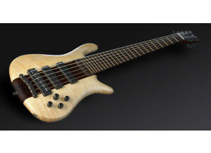 Warwick Streamer Stage I 6