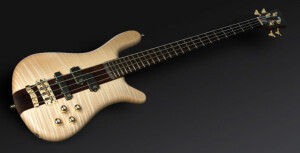 Warwick Streamer Stage I 4