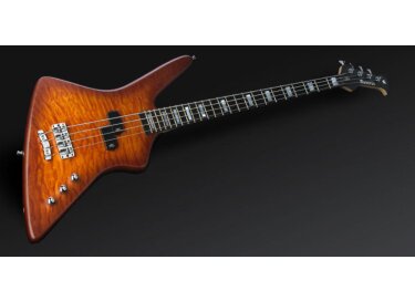 Warwick Adam Clayton Reverso Artist