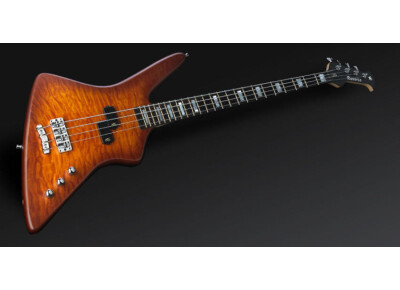 Warwick Adam Clayton Reverso Artist