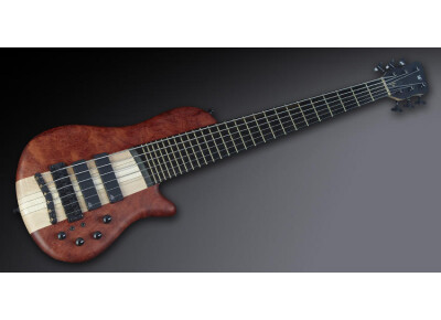 Warwick Thumb SC BN 6