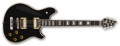 2 nouvelles EVH Wolfgang Custom USA
