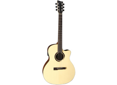 VGS BR-20 CE Belle Rose