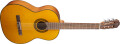 Nouveaux modèles pour la G-Series chez Takamine