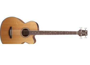 Takamine GB30CE