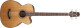 Nouveaux modèles pour la G-Series chez Takamine