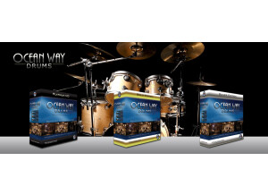 Sonic Reality Ocean Way Drums Gold