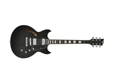 Reverend Manta Ray HB