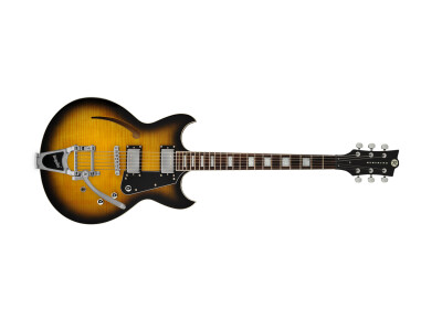 Reverend Manta Ray HB w/Bigsby