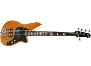 Reverend Mercalli 5 FM