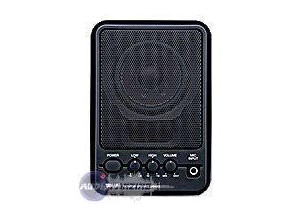 Yamaha MS101 2