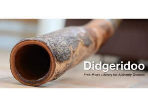 Camel Audio Didgeridoo