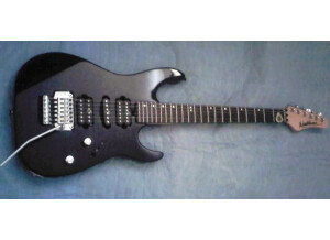 Washburn MG340