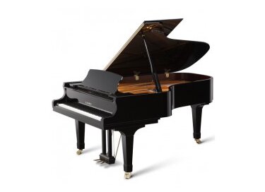 Kawai GX6