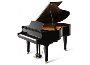 Kawai GX2