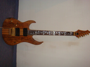 Raven West Guitar RG650 LH