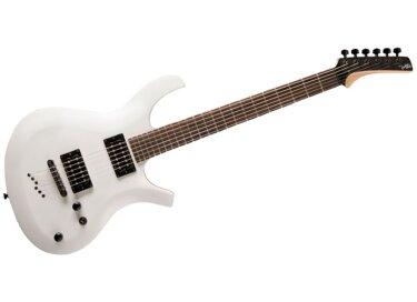 Parker Guitars PDF30