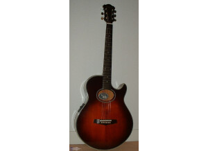 Ibanez AE405