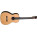 See the photo of the Blueridge BR-361 Blueridge BR-361