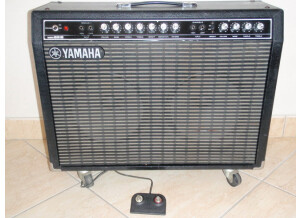 Yamaha G100B-212