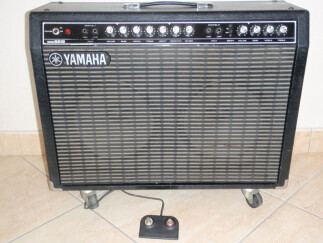 Yamaha G100B-212