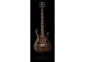 PRS S2 Custom 22