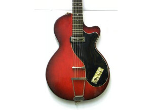 Hofner Guitars Colorama [1960-1961]