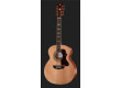 Harley Benton CLJ-412E