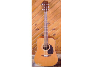 Stagg SW506 SD-CED