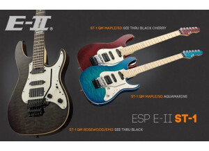 E-II ST-1 Maple