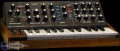 In the Moog