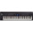 See the photo of the Roland RD-800 Roland RD-800