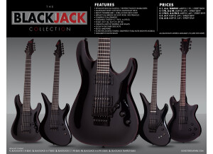 Schecter Blackjack C-7 (2014)